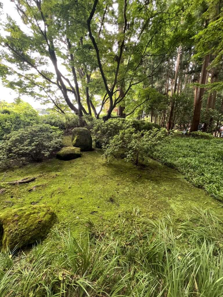 japanese tea garden san francisco